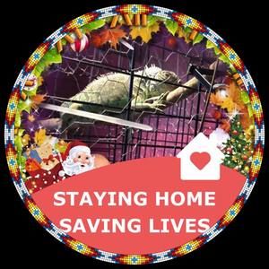 Meet your Posher, Jeannie